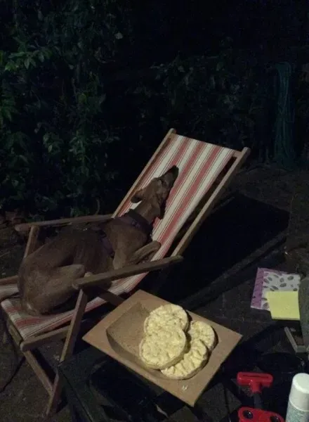 10363765 10202774030651633 6493280578169144763 n