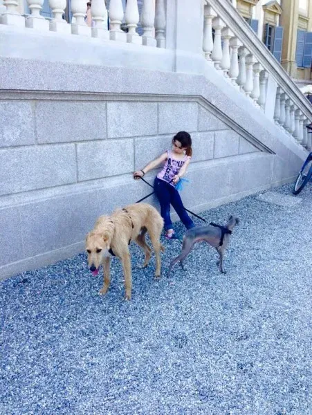 10363797 852752798149658 7916346495746834864 n