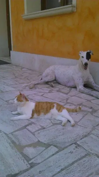 10363881 10203349878621057 1871959894 n