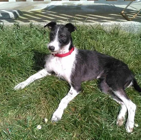 10364119 1701366106812682 5670639501847757293 n