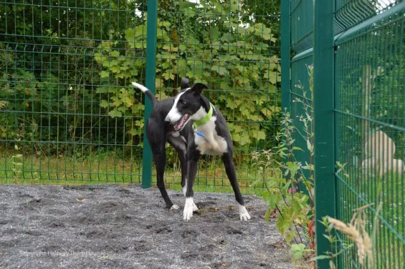 10364160 557320684376244 4423122571751109126 n