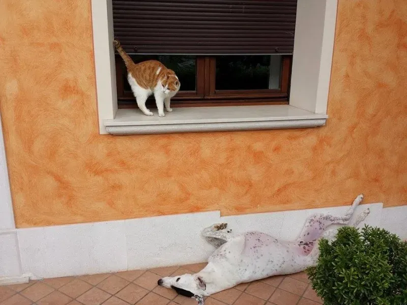 10364181 10203349878541055 54573208 n