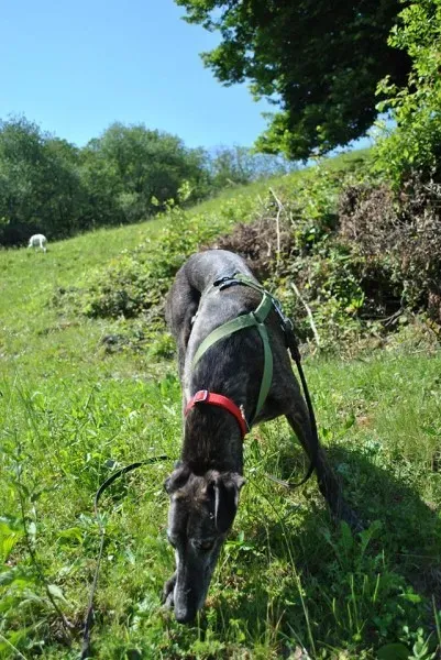 10365987 677045485689960 8838077542769245995 n