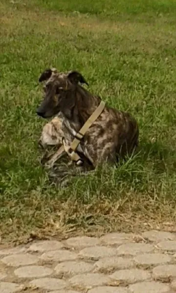 10366227 832360746847782 4782539067976285980 n