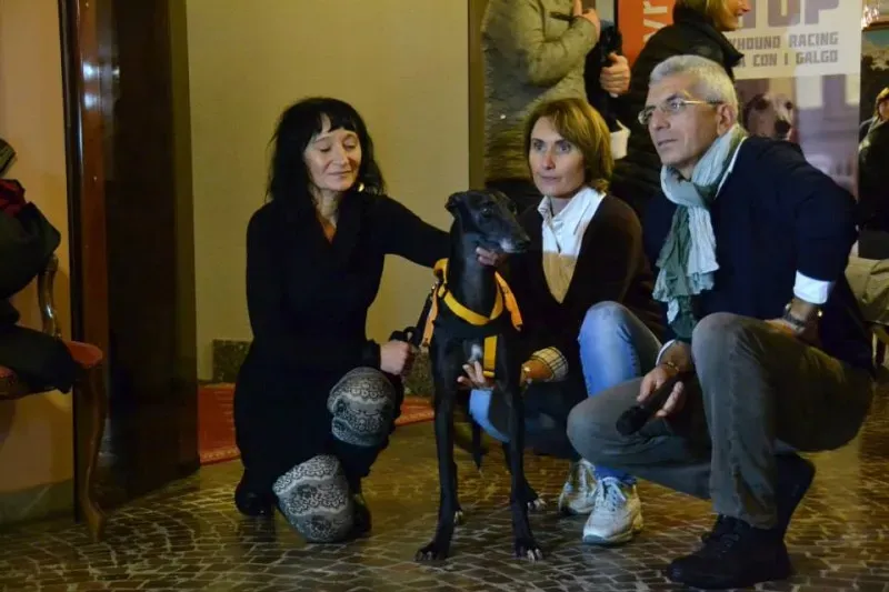 10367603 730087637075094 6337879447458471592 n