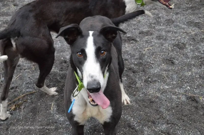 10367740 557320721042907 7631209245982729218 n