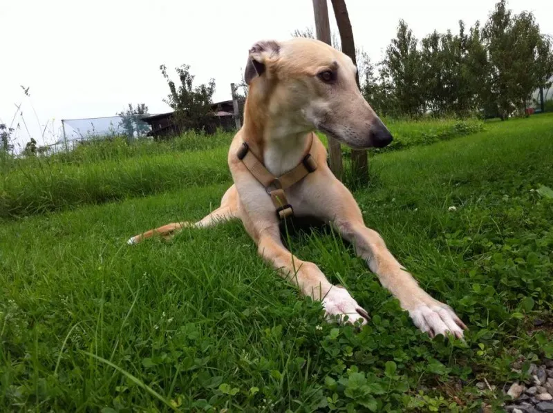 10369689 359940330829353 7582066584682342617 n