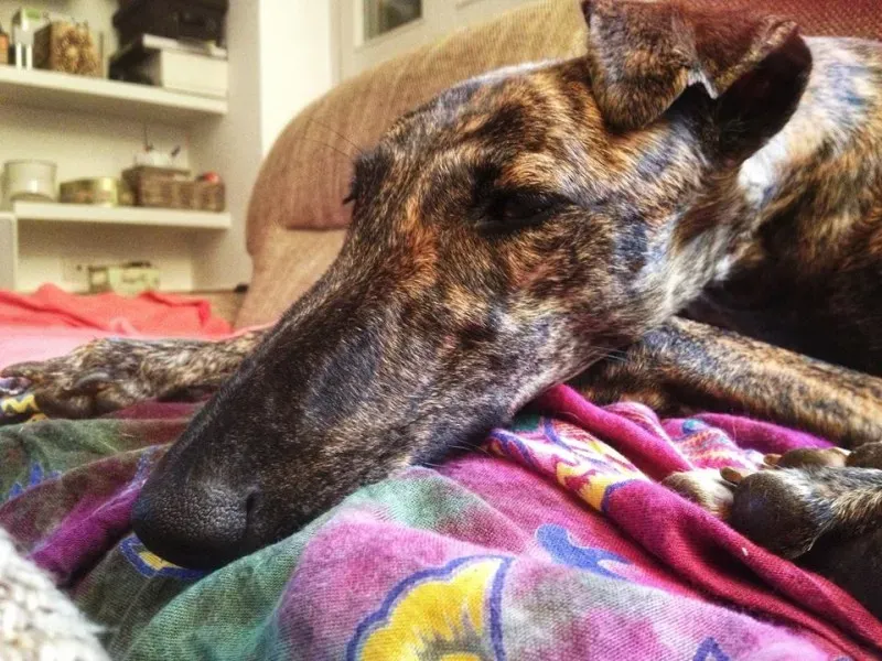 10369891 677164895702635 3498836653390175687 n