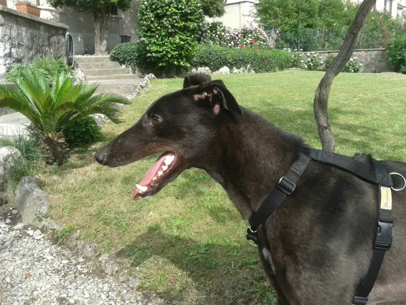 10371310 654954454582063 6015767738833617143 o