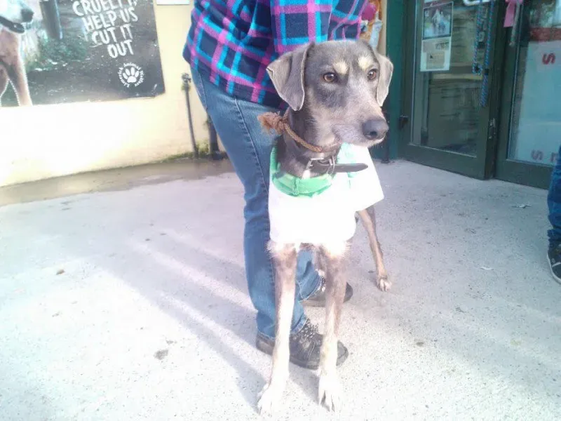 10371423 734612193289305 3867779343081922105 n