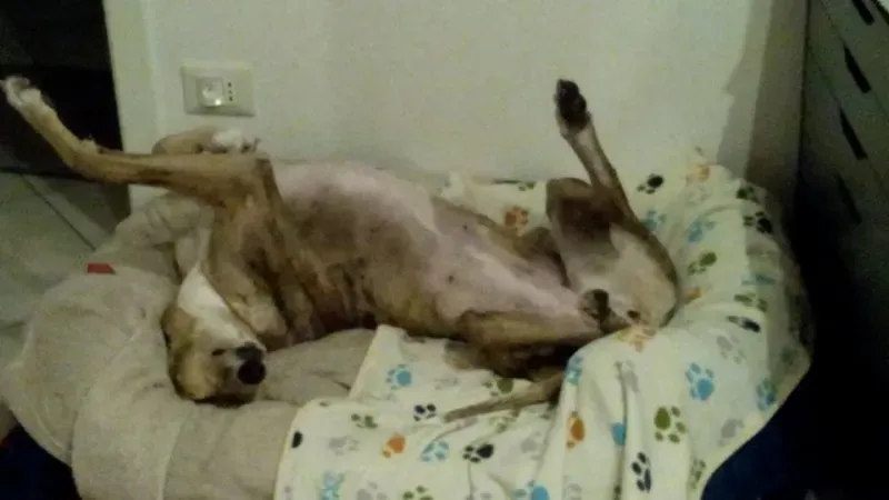 10371425 209484182745676 6435253440462611593 n