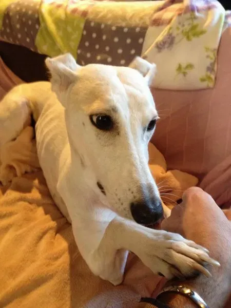 10371713 10209320274112702 3402814532077590639 n