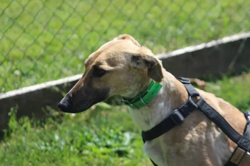 10371892 640700659347126 3968790806564830513 n