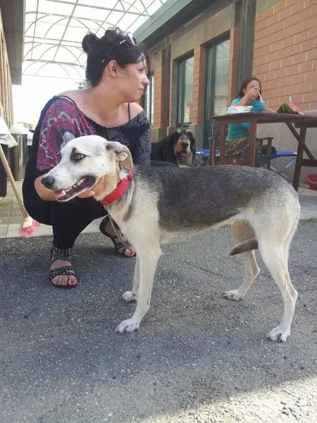 10372186 10203781272204701 3926120874636765471 n