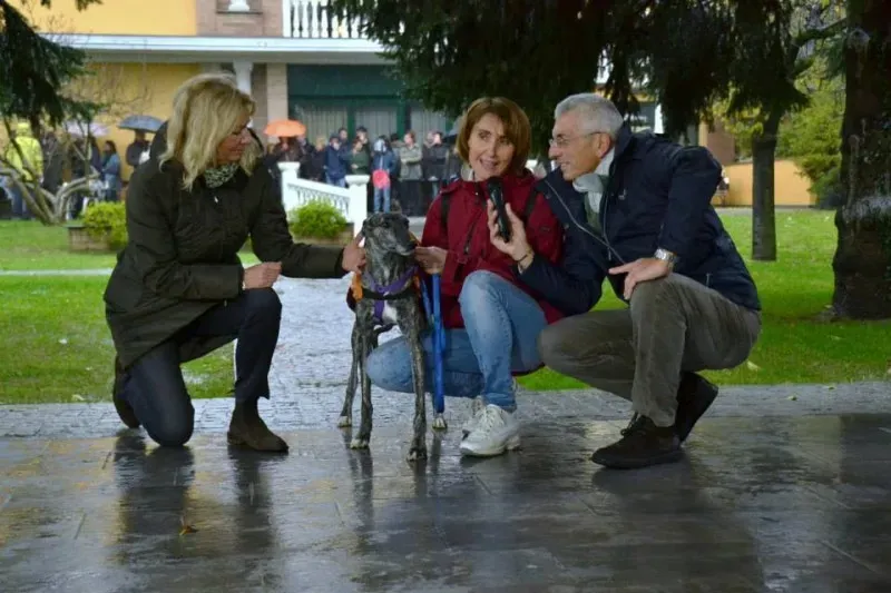 10372194 730084807075377 5036146116799029703 n