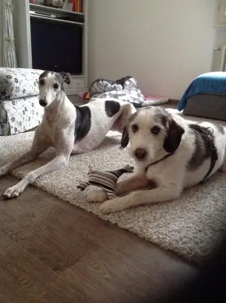 10373146 10204485059159342 1377011575747604623 o