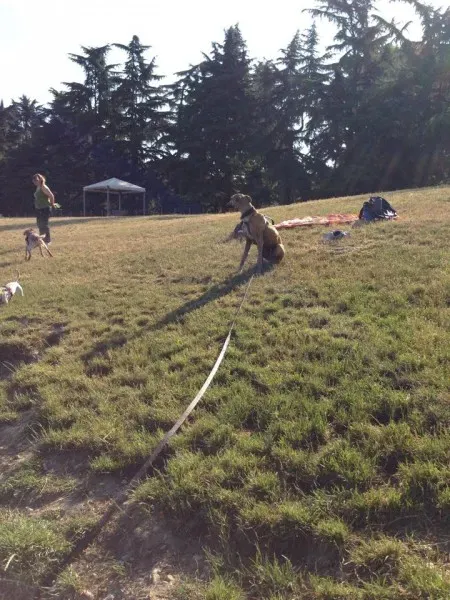 10374943 10203300304461245 5435715686238650507 n