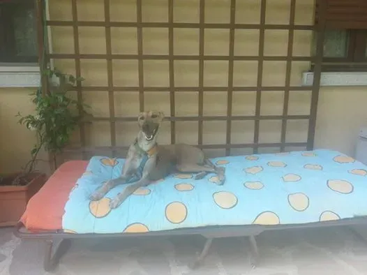 10375968 10204095184048177 7446787414083106906 n