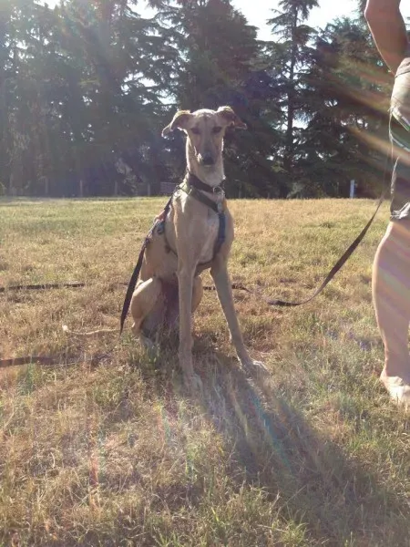 10377000 10203300303061210 5065951643356946280 n