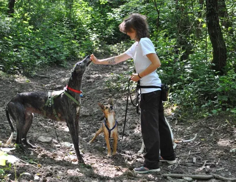 10377629 677043835690125 8089940696676019616 n