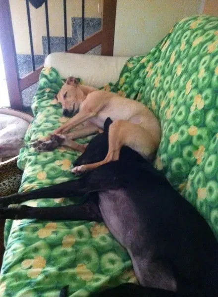 10378077 10205767159400197 7254467549949411212 n