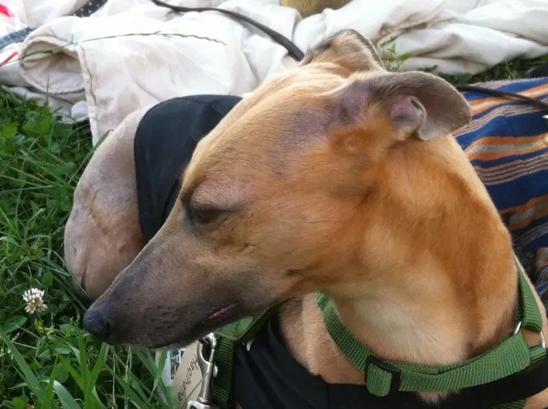 10380323 10201960392438025 633508703513760965 n