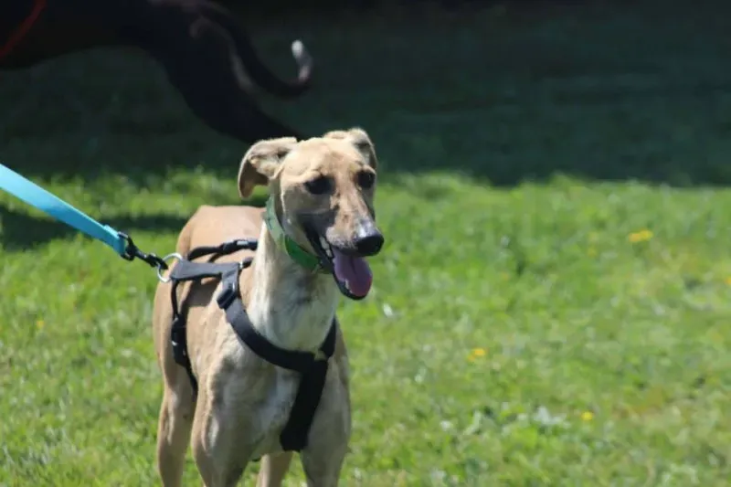 10382460 640701179347074 8903047723081022071 n