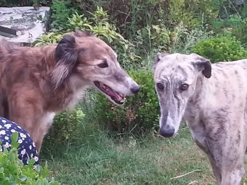 10382594 1517983638458474 6257001901531976306 o