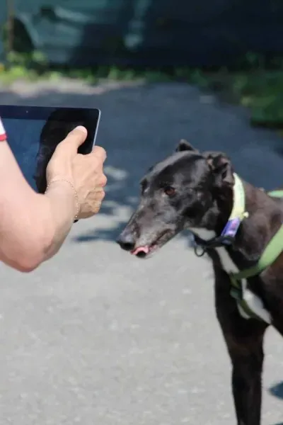 10382855 640699956013863 7100017991084884874 n