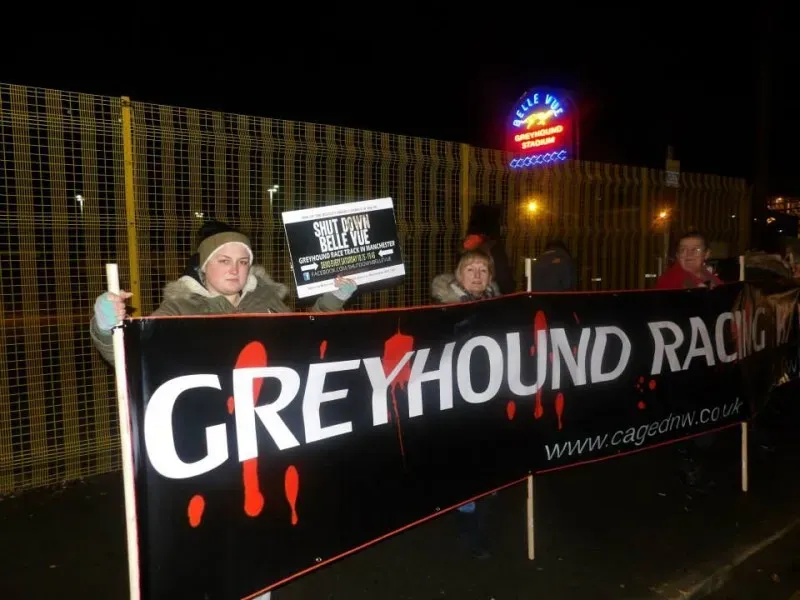 10383891 904662869578526 4701013216794348191 n