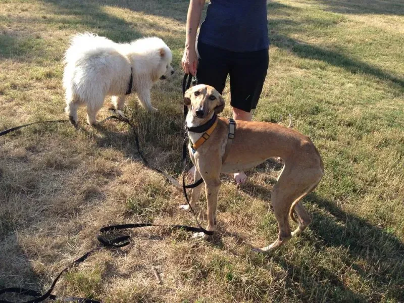 10384214 10203300310741402 2467207830996642844 n