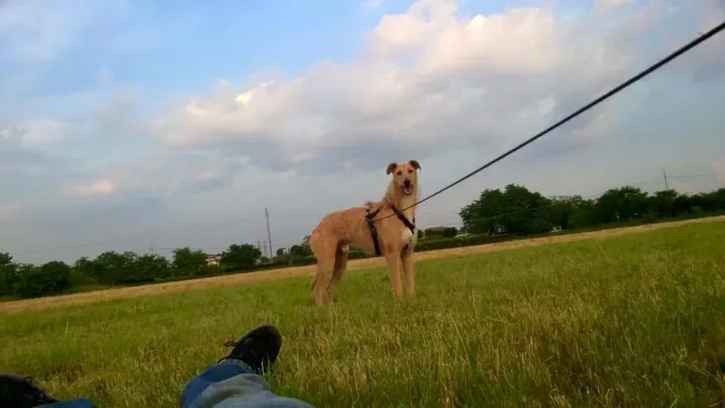 10384363 850861465005458 4479130611934451337 n