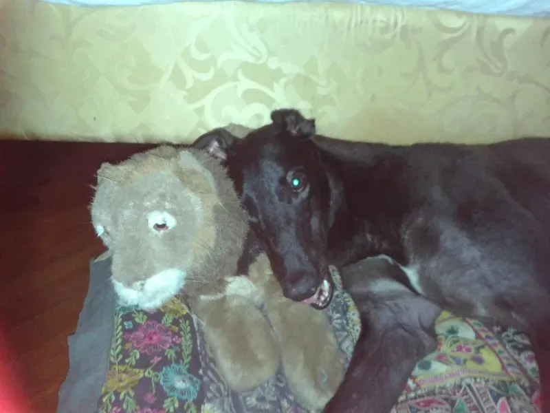 10386947 670625433014965 6921809852054167461 o