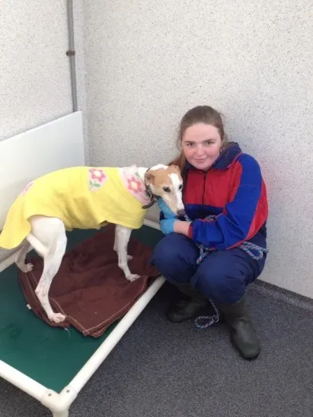 10387314 735224103228114 1253028053640727031 n