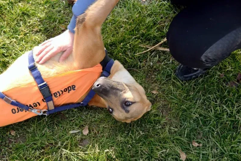 10388124 772114579539066 3635388558602655414 n