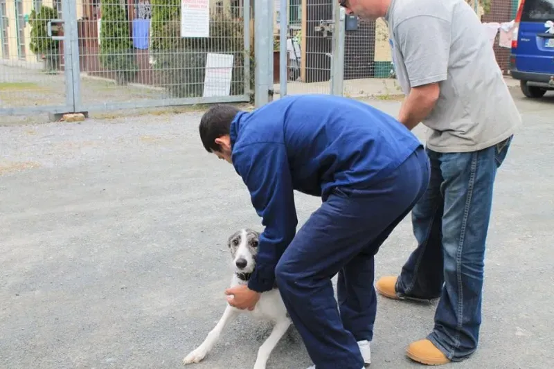 10389060 1014947575189608 3819763713432692028 n