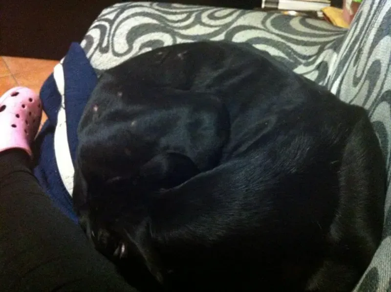 10389281 10202937612427914 6706637360337040542 n