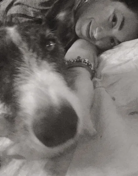 10390083 852822351468288 4371994235348953894 n