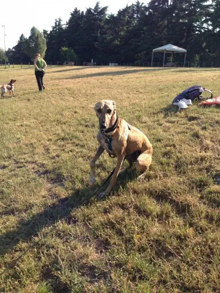 10390387 10203300304261240 3949863365279900096 n