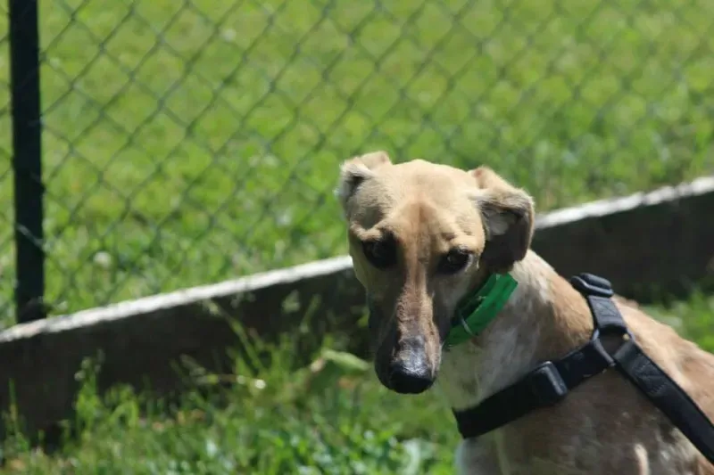 10390398 640700732680452 4497749083519983092 n