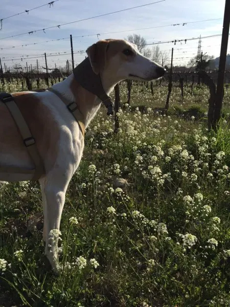 10391517 10206252119125290 2507797327256967467 n