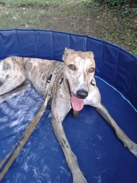 10391573 209484409412320 3512385586628458294 n