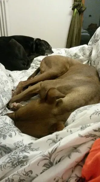 10392124 10207387699828533 7993658625284966119 n