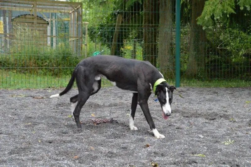 10392290 557320997709546 125513106817120167 n