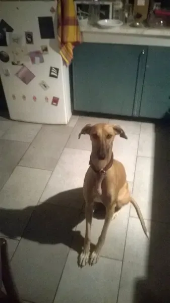 10392309 735090546582551 5739359214670885558 n