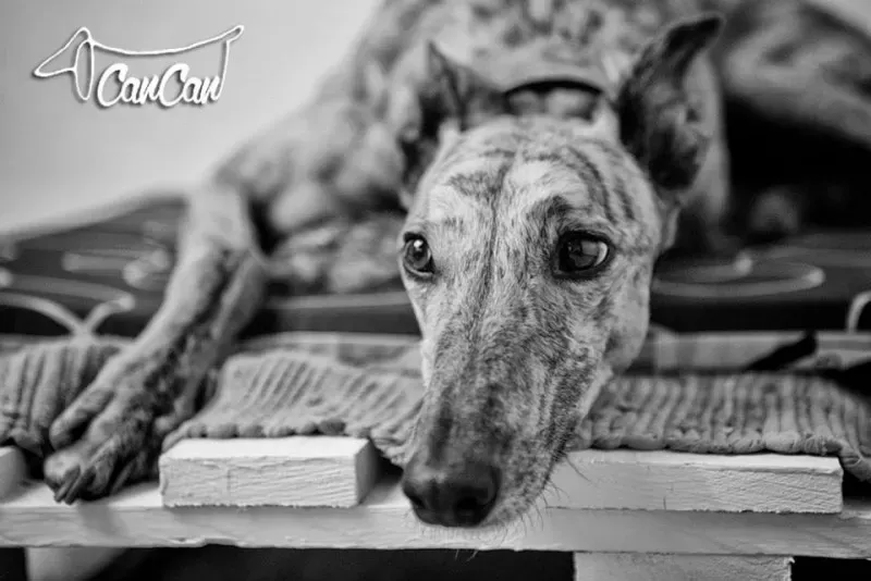 10392340 1590906924500676 1696138162039355785 n1