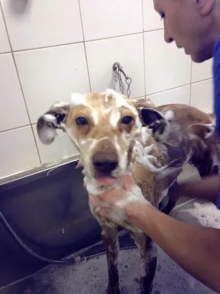 10393164 960549533963101 8547389055785267232 n