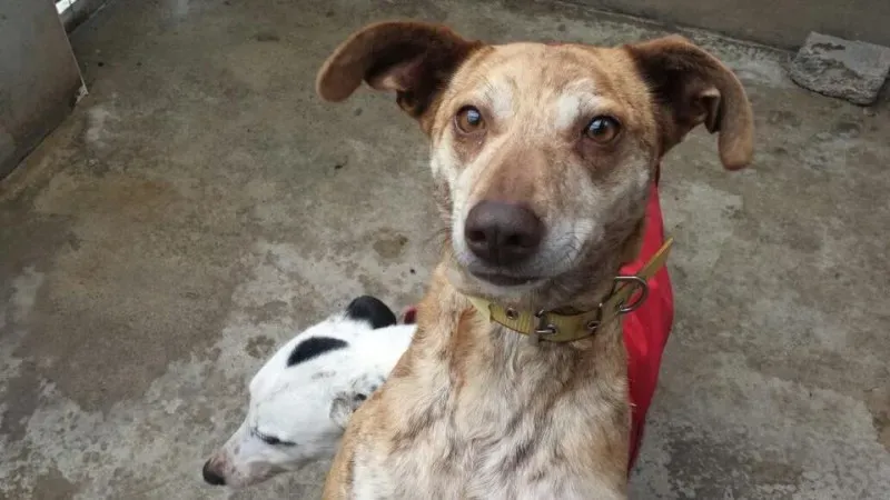 10393952 785489064868284 6704910003266094306 n