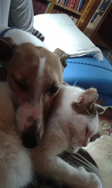 10394019 757591904324667 5437008455344559741 n