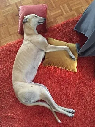 10394060 392896660867053 2260541143216151335 n